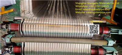 StainlessSteelStrip201